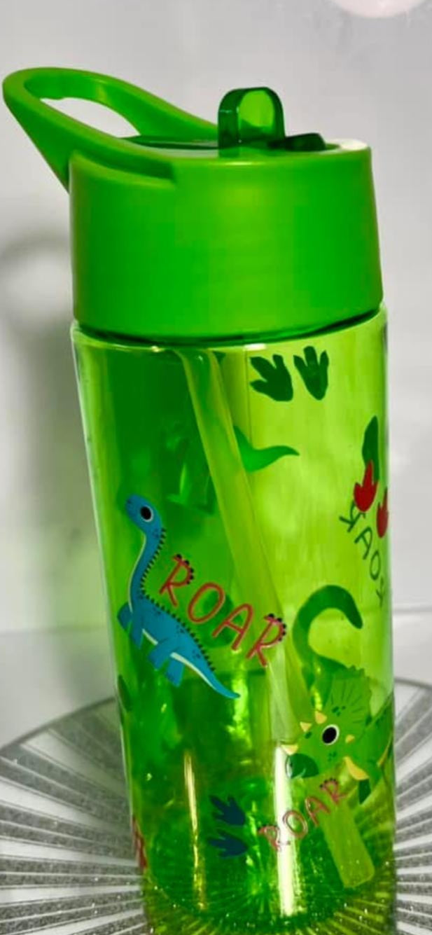 Green Dinosaur Water Bottle