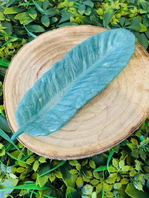 Feather - Resin Trinket Tray